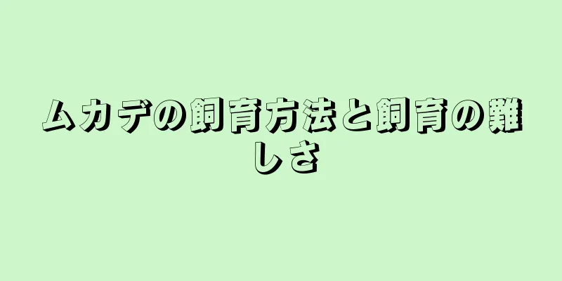 ムカデの飼育方法と飼育の難しさ