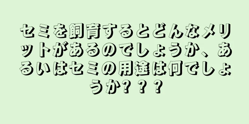 セミを飼育するとどんなメリットがあるのでしょうか、あるいはセミの用途は何でしょうか? ? ?