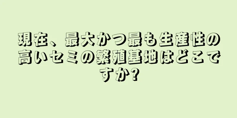 現在、最大かつ最も生産性の高いセミの繁殖基地はどこですか?