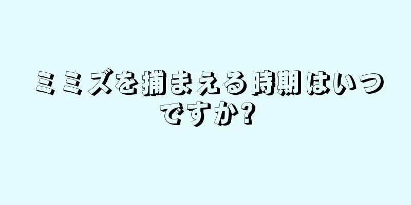 ミミズを捕まえる時期はいつですか?