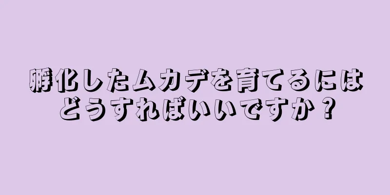 孵化したムカデを育てるにはどうすればいいですか？