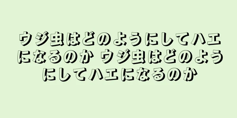 ウジ虫はどのようにしてハエになるのか ウジ虫はどのようにしてハエになるのか