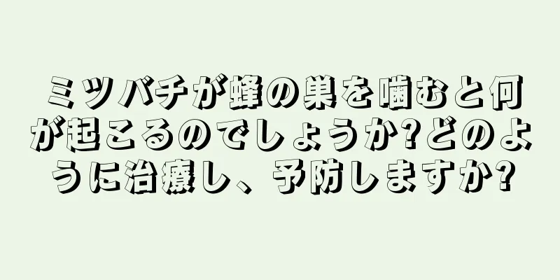 ミツバチが蜂の巣を噛むと何が起こるのでしょうか?どのように治療し、予防しますか?