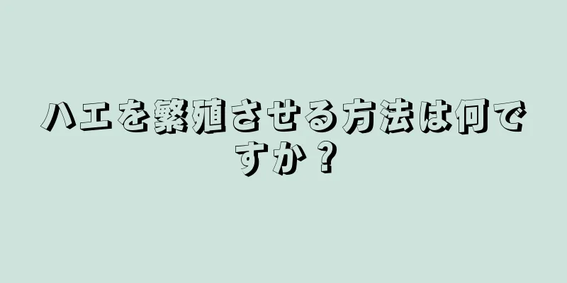 ハエを繁殖させる方法は何ですか？