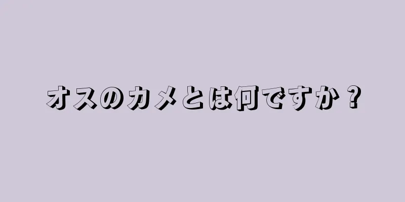 オスのカメとは何ですか？