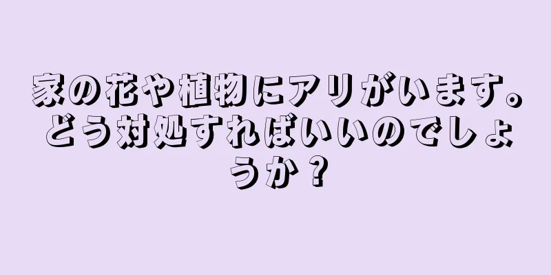 家の花や植物にアリがいます。どう対処すればいいのでしょうか？
