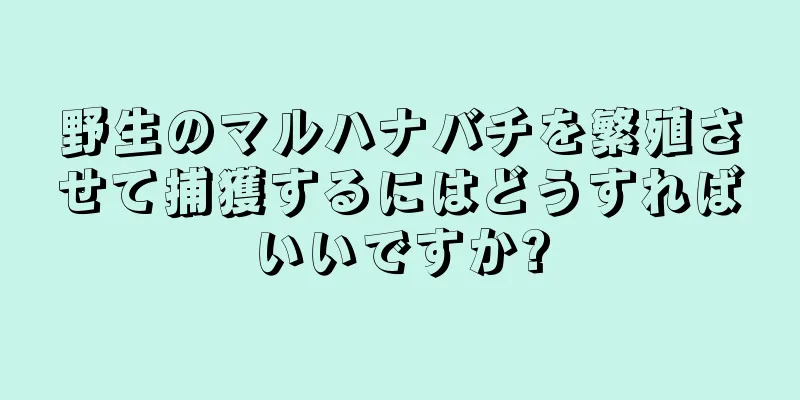 野生のマルハナバチを繁殖させて捕獲するにはどうすればいいですか?
