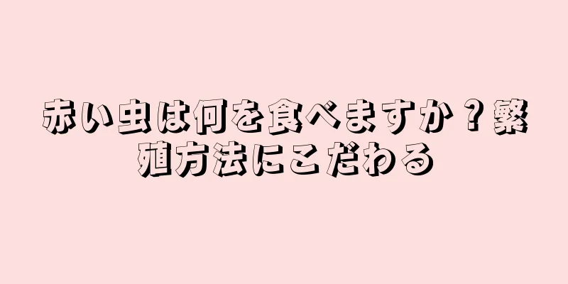 赤い虫は何を食べますか？繁殖方法にこだわる