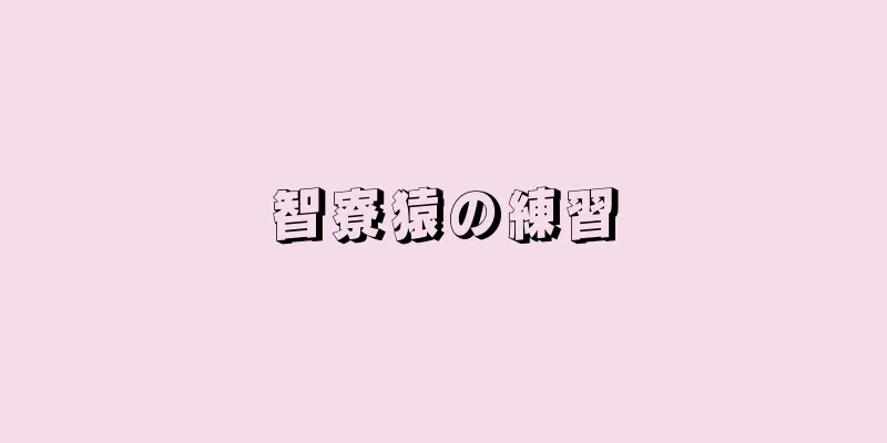 智寮猿の練習