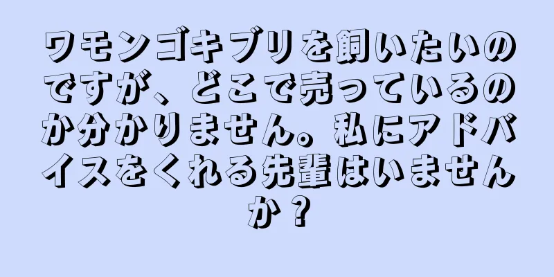ワモンゴキブリを飼いたいのですが、どこで売っているのか分かりません。私にアドバイスをくれる先輩はいませんか？