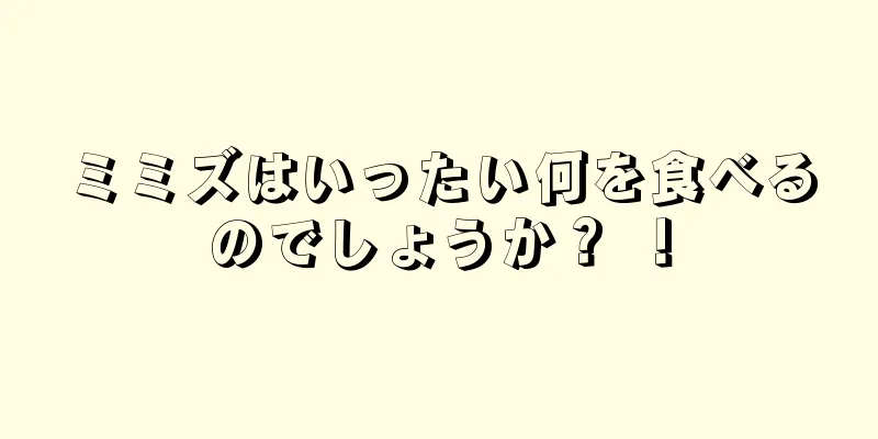 ミミズはいったい何を食べるのでしょうか？ ！