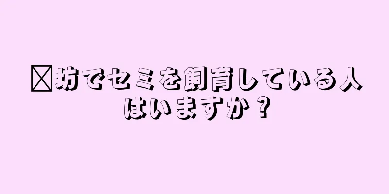 濰坊でセミを飼育している人はいますか？