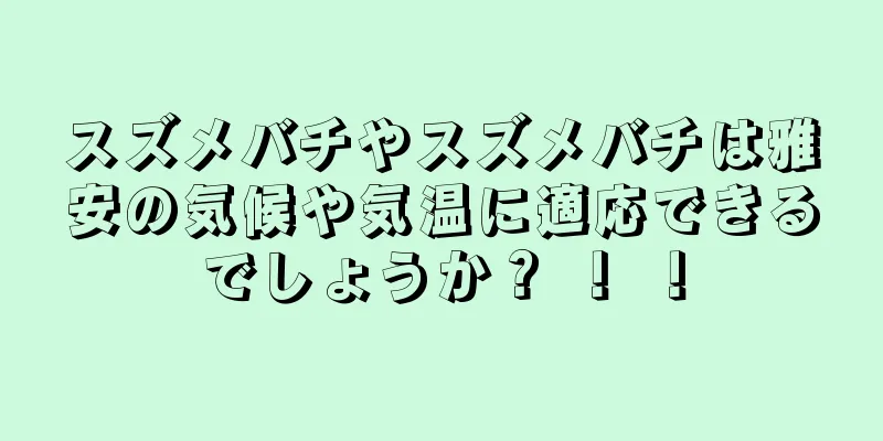 スズメバチやスズメバチは雅安の気候や気温に適応できるでしょうか？ ！ ！