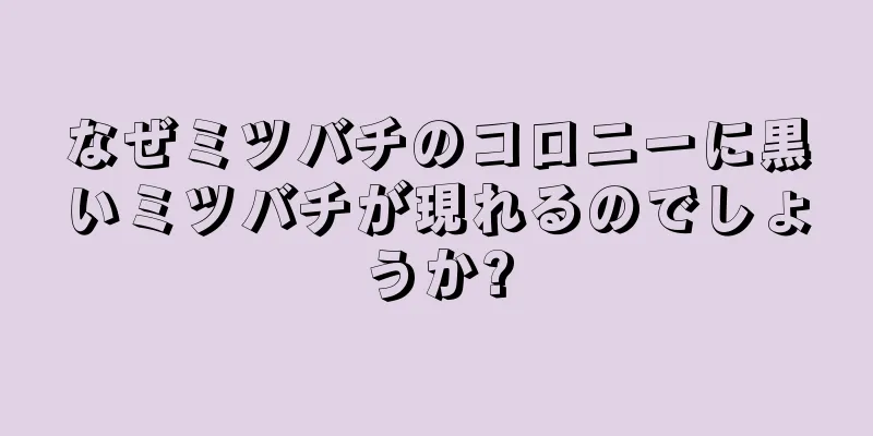 なぜミツバチのコロニーに黒いミツバチが現れるのでしょうか?
