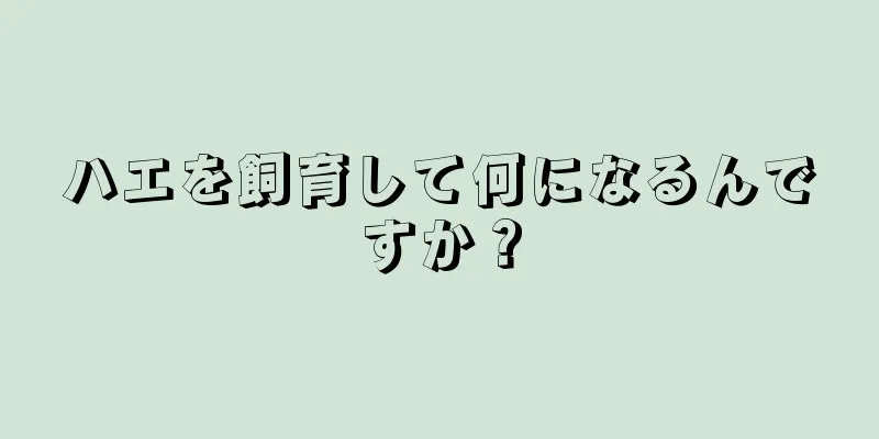 ハエを飼育して何になるんですか？