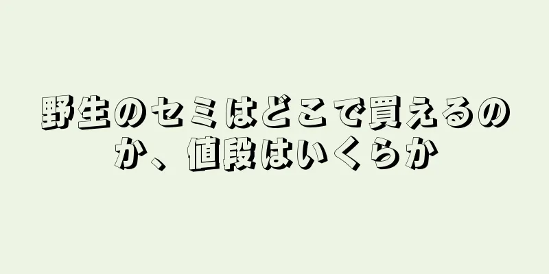 野生のセミはどこで買えるのか、値段はいくらか