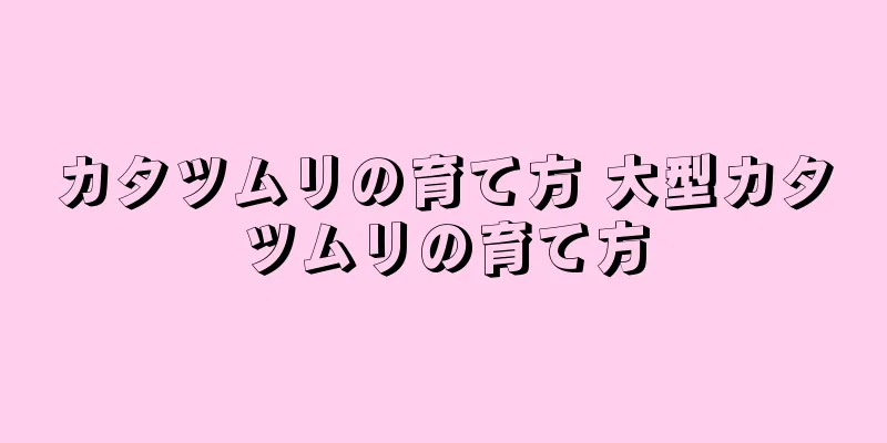 カタツムリの育て方 大型カタツムリの育て方