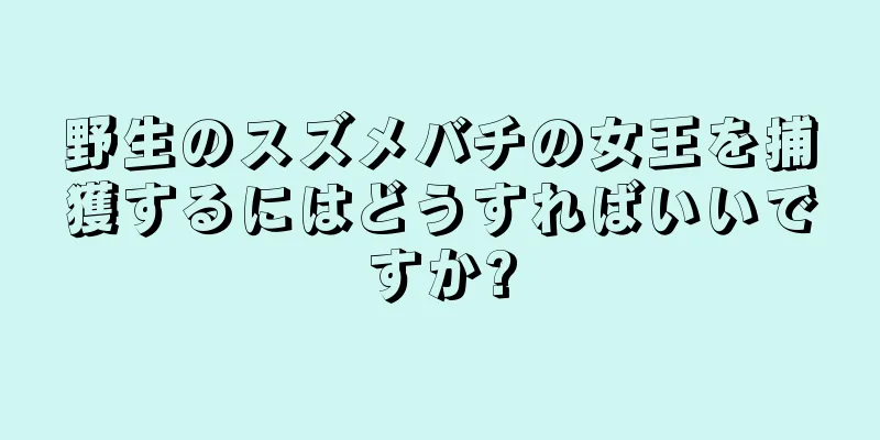 野生のスズメバチの女王を捕獲するにはどうすればいいですか?