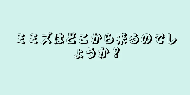 ミミズはどこから来るのでしょうか？