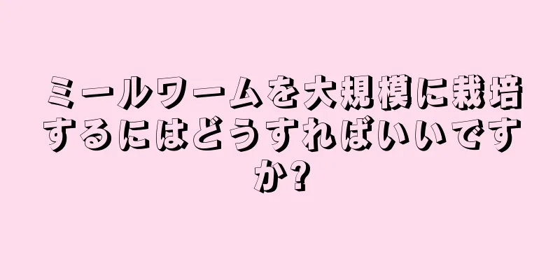 ミールワームを大規模に栽培するにはどうすればいいですか?