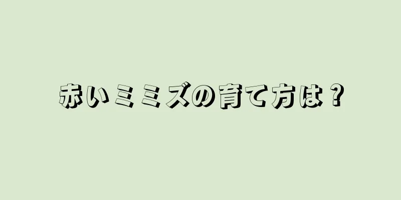 赤いミミズの育て方は？