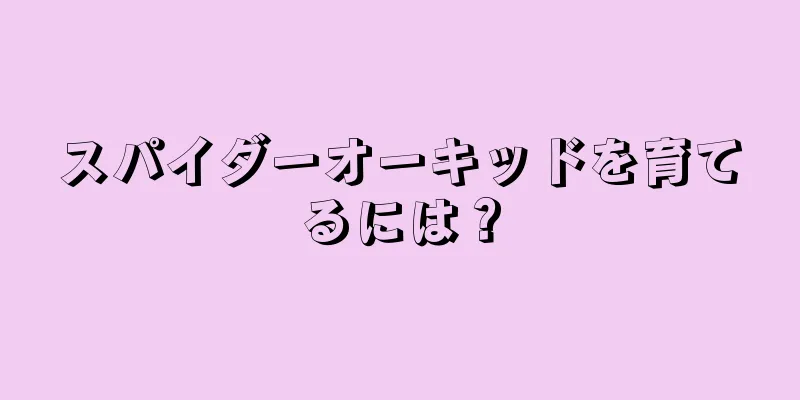 スパイダーオーキッドを育てるには？