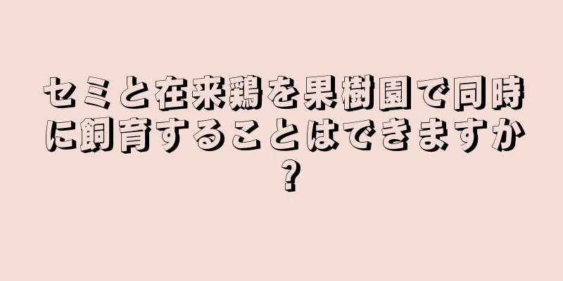 セミと在来鶏を果樹園で同時に飼育することはできますか？