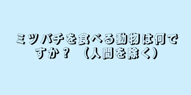 ミツバチを食べる動物は何ですか？ （人間を除く）