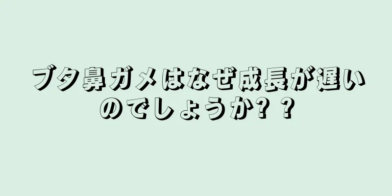 ブタ鼻ガメはなぜ成長が遅いのでしょうか? ?