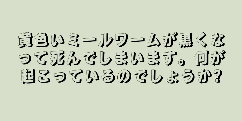 黄色いミールワームが黒くなって死んでしまいます。何が起こっているのでしょうか?