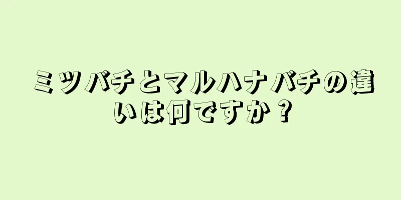 ミツバチとマルハナバチの違いは何ですか？