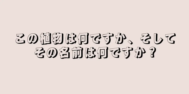この植物は何ですか、そしてその名前は何ですか？