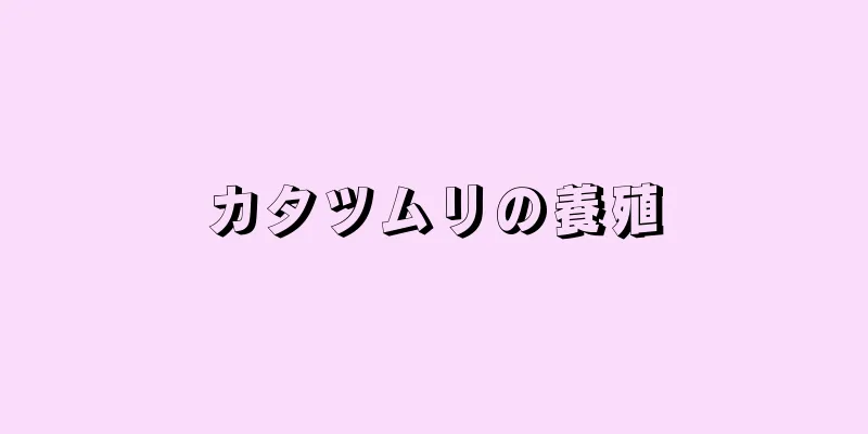 カタツムリの養殖