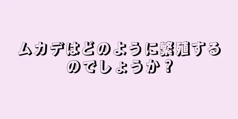 ムカデはどのように繁殖するのでしょうか？