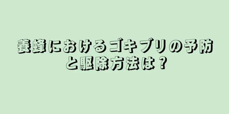 養蜂におけるゴキブリの予防と駆除方法は？