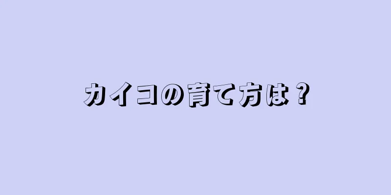 カイコの育て方は？