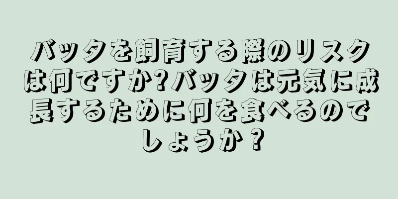 バッタを飼育する際のリスクは何ですか?バッタは元気に成長するために何を食べるのでしょうか？