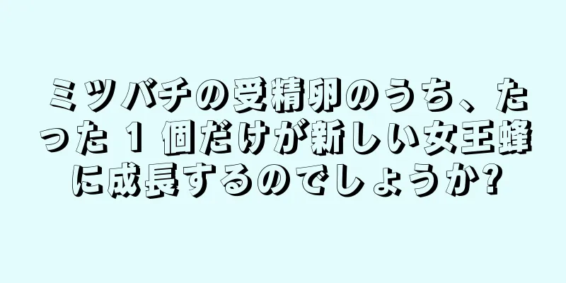 ミツバチの受精卵のうち、たった 1 個だけが新しい女王蜂に成長するのでしょうか?