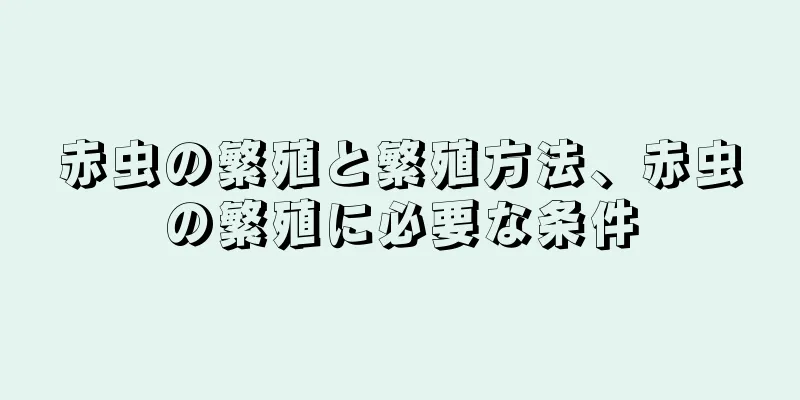 赤虫の繁殖と繁殖方法、赤虫の繁殖に必要な条件
