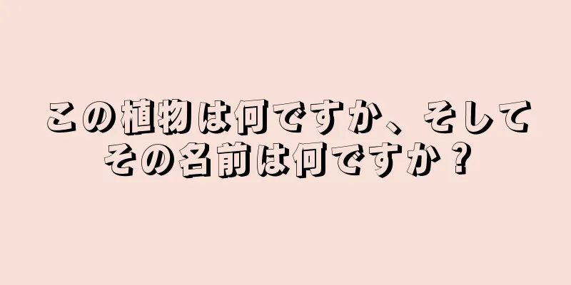 この植物は何ですか、そしてその名前は何ですか？