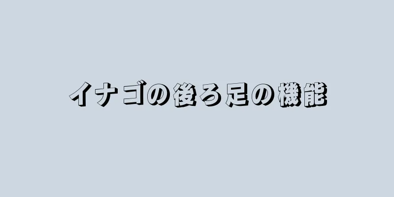 イナゴの後ろ足の機能