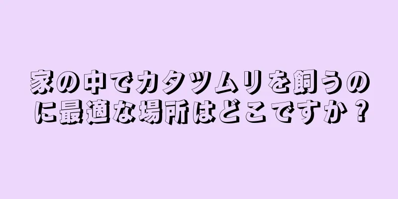 家の中でカタツムリを飼うのに最適な場所はどこですか？
