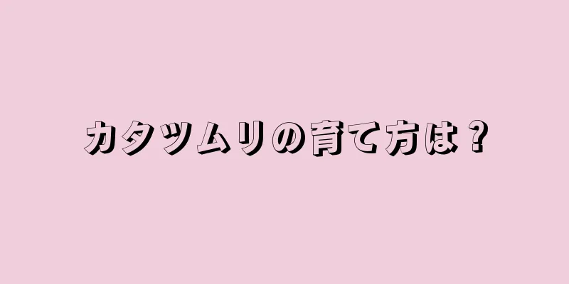 カタツムリの育て方は？