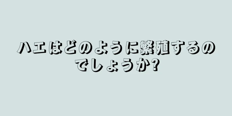 ハエはどのように繁殖するのでしょうか?