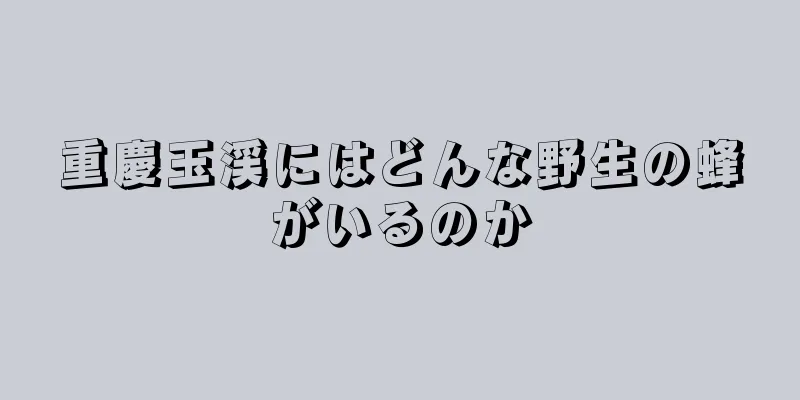 重慶玉渓にはどんな野生の蜂がいるのか