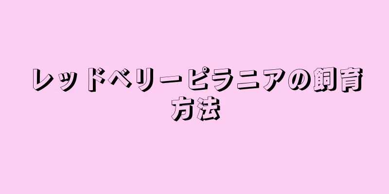 レッドベリーピラニアの飼育方法