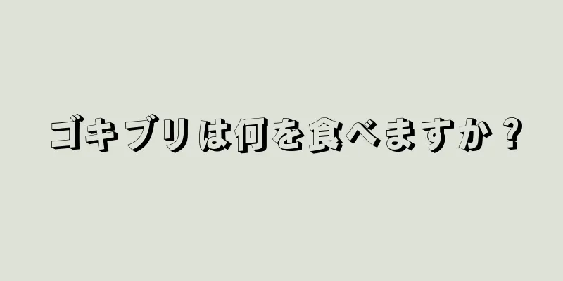 ゴキブリは何を食べますか？