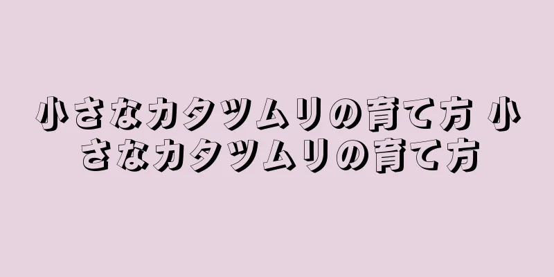 小さなカタツムリの育て方 小さなカタツムリの育て方