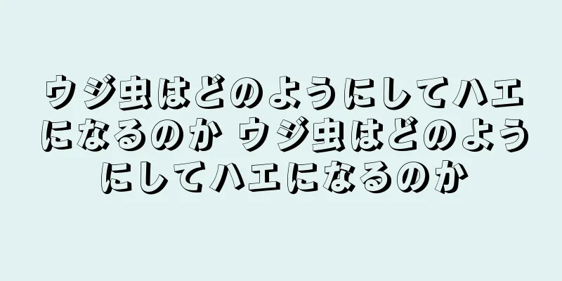 ウジ虫はどのようにしてハエになるのか ウジ虫はどのようにしてハエになるのか