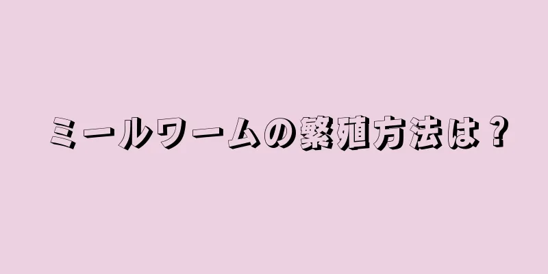 ミールワームの繁殖方法は？